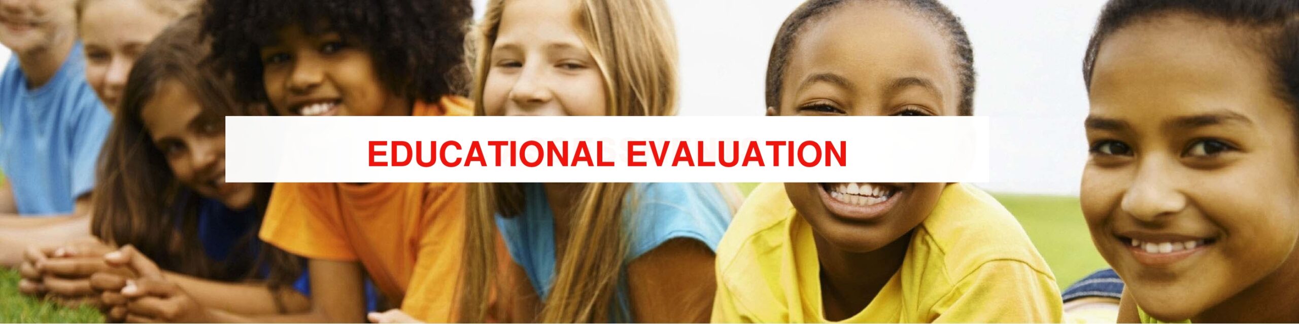 Comprehensive Educational Evaluation
